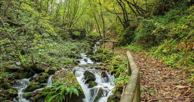 A CAMIÑAR POR ASTURIES: o sábado 10